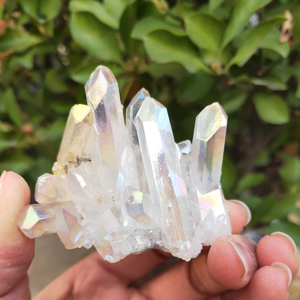 Natural Angel Quartz Crystal Cluster